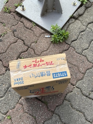 상품 후기 사진