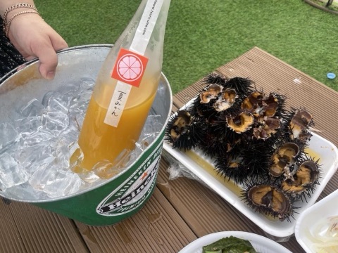 구매 고객이 올린 사진