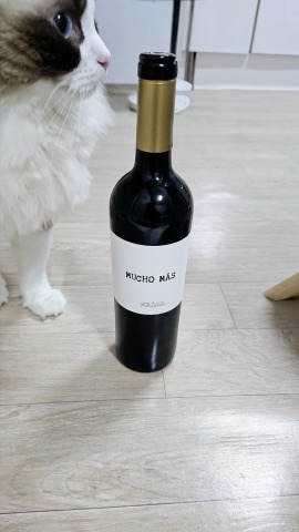 구매 고객이 올린 사진