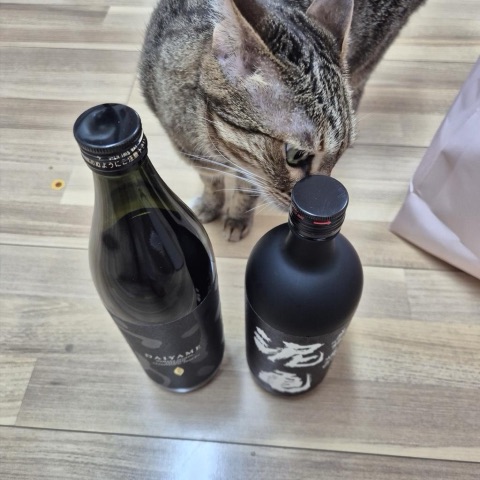 상품 후기 사진