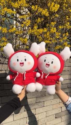 상품 후기 사진