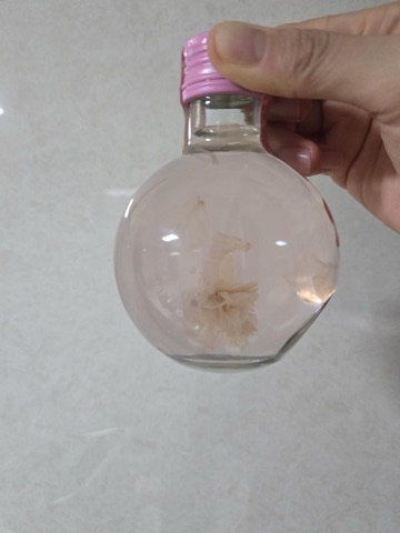 상품 후기 사진
